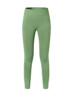 #カラー_LimeGreen